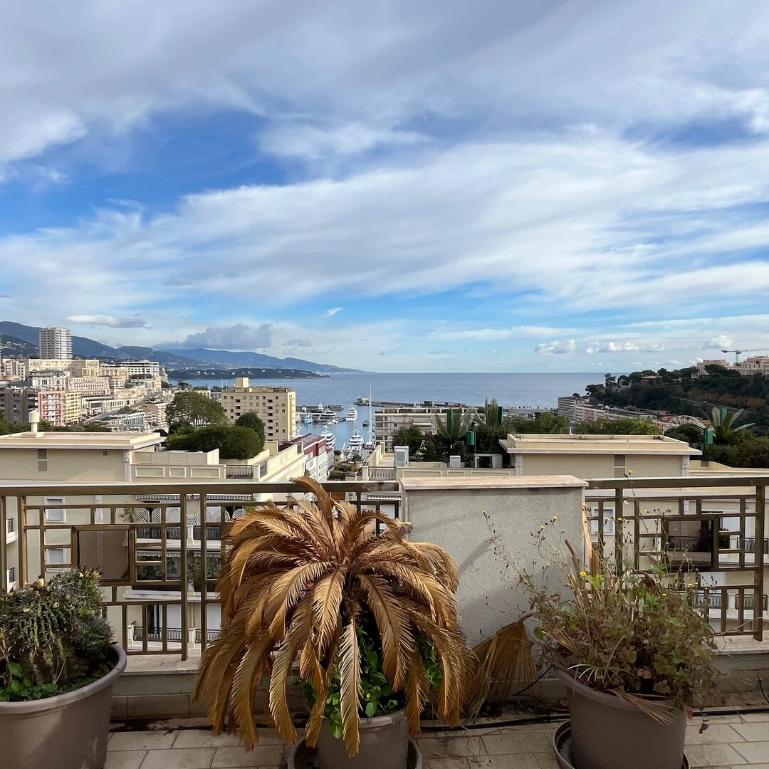 APPARTEMENT EN DUPLEX AVEC TERRASSE ET BELLE VUE  -  FAIRE OFFRE!