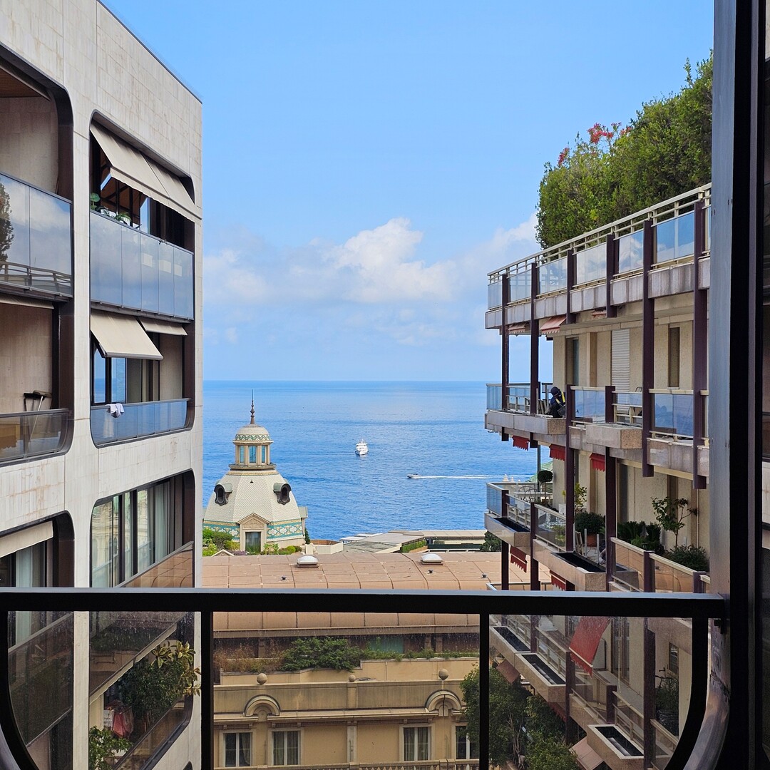 Carré d'Or – Le Montaigne, block A – Elegant renovated 2-room apartment