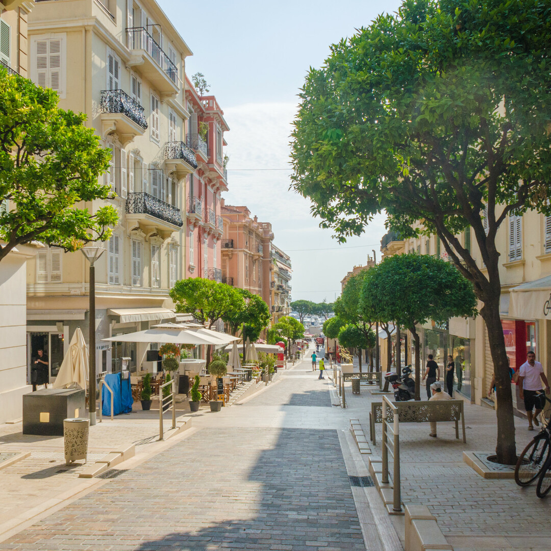 Beautiful apartment on rue Princesse Caroline