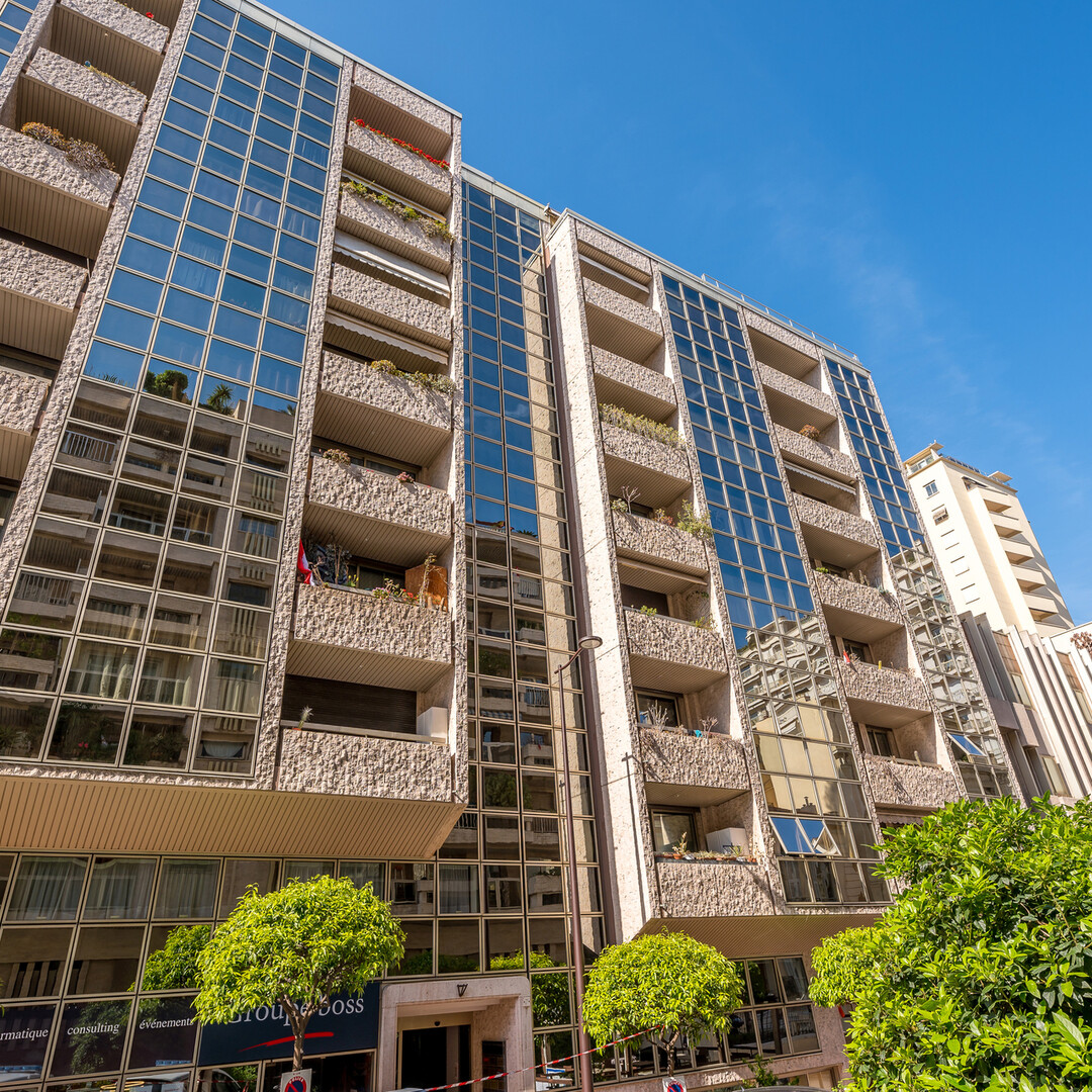 MAGNIFICENT APARTMENT PORT HERCULE