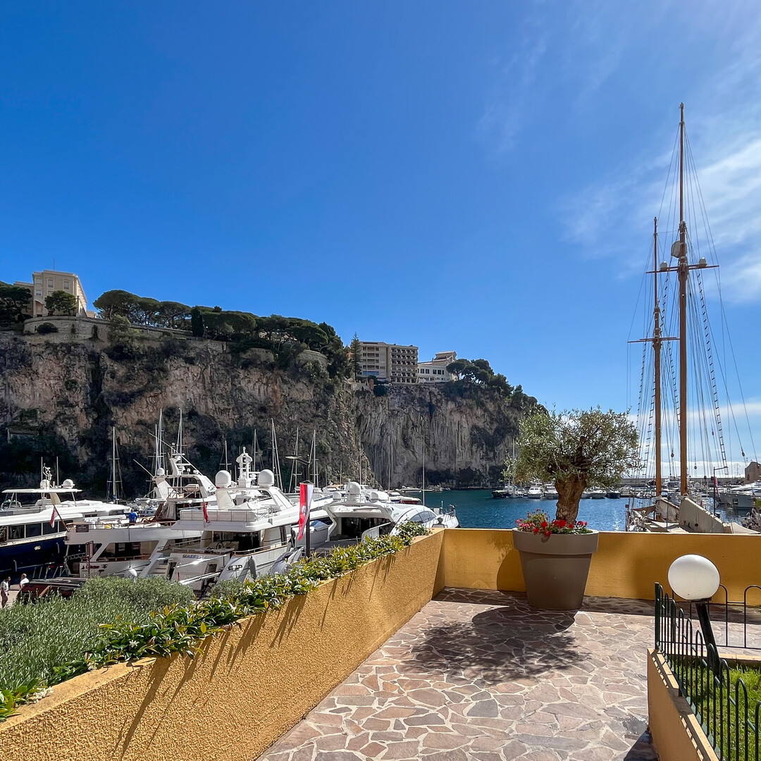 Commercial premises with ideal window rental yield