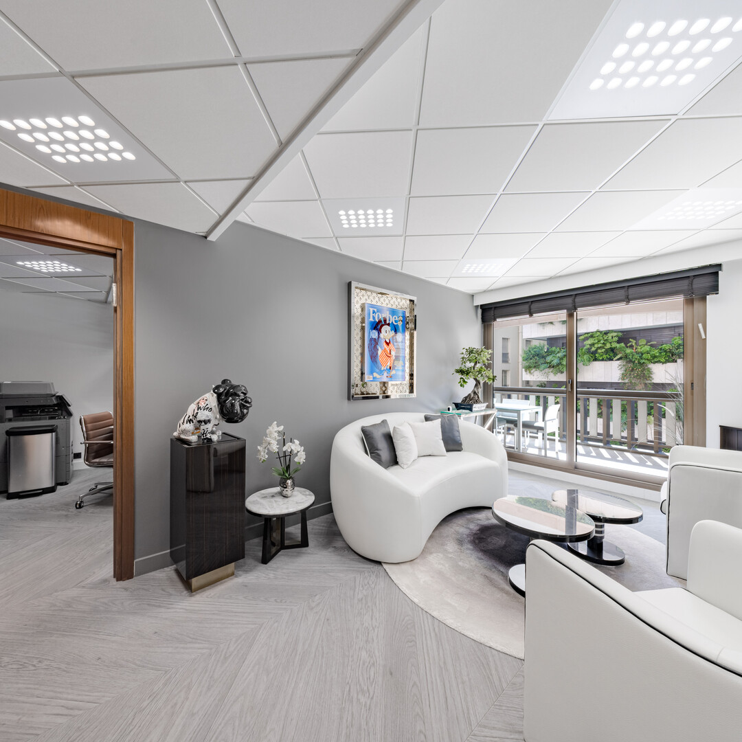 SPACIOUS OFFICES - CARRE D'OR