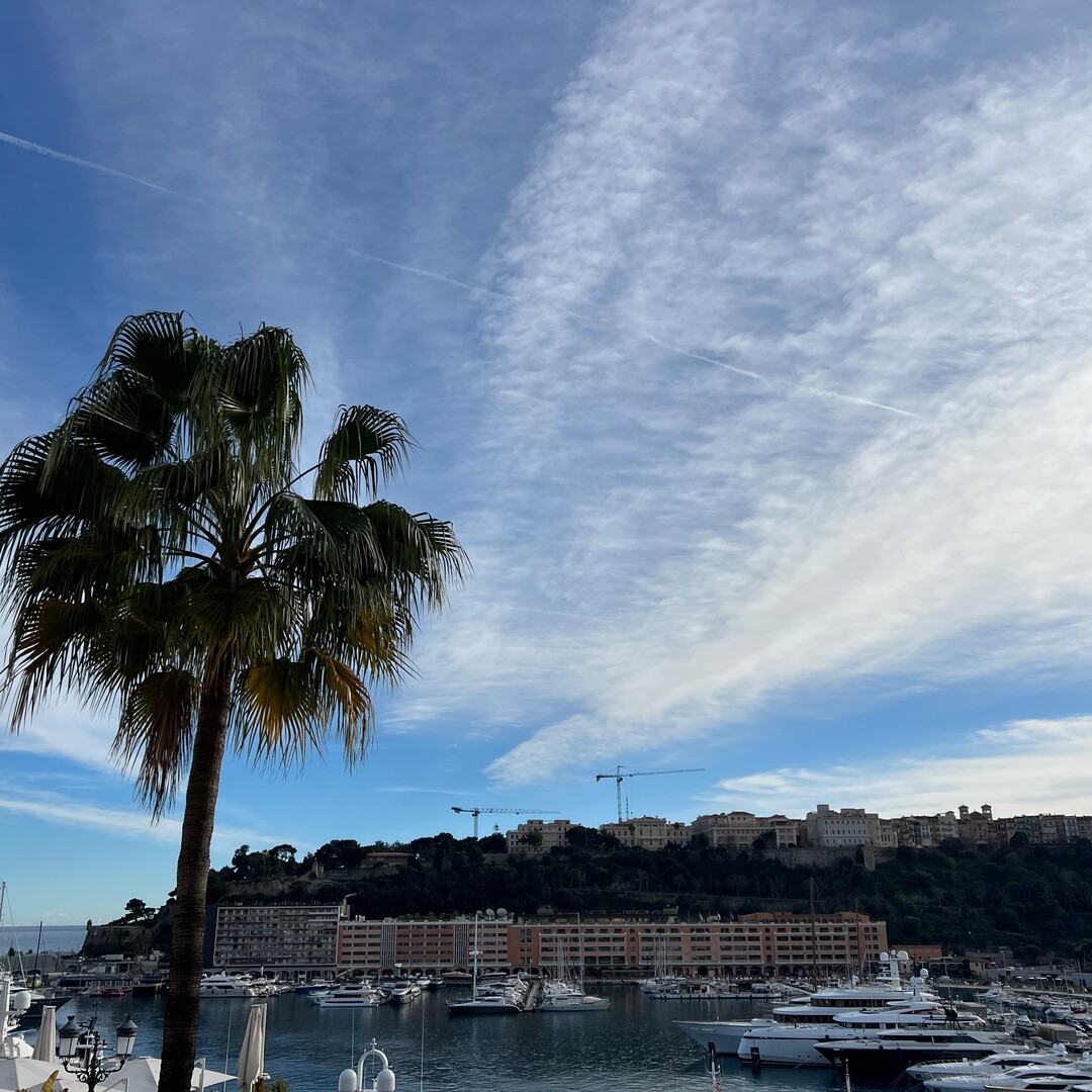 6 ROOMS - VILLA MINERVE